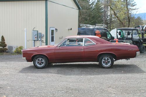 1967 gto