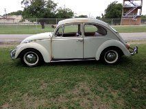 66 vw volkswagon bug "pigalle red"