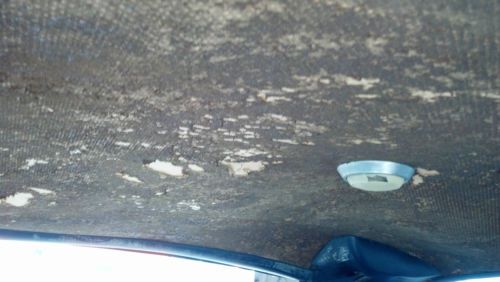 1981 Chevy Camero Z28, image 21