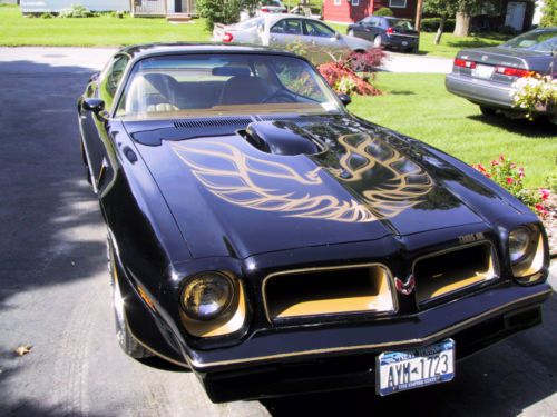 1976 pontiac special edition trans-am