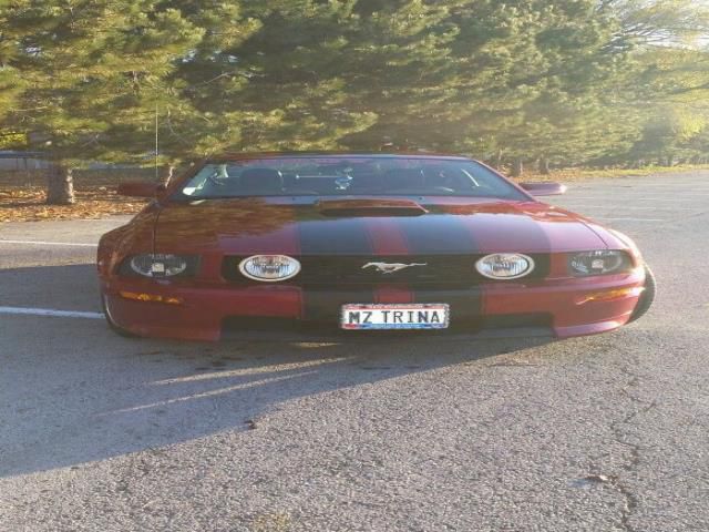 Ford mustang gt