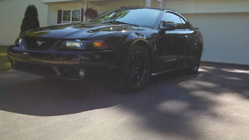 Mustang cobra