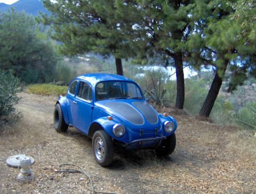 1969 volkswagen baja bug