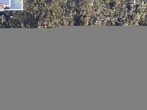 2011 Shelby GT500  SVT Package 700HP - Synergy Green Racing Stripes, image 3