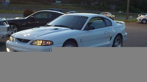 Ford mustang cobra svt