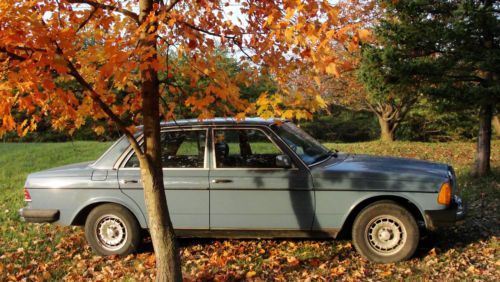 1982 mercedes benz 300d  kept in good condition sky blue paint automatic