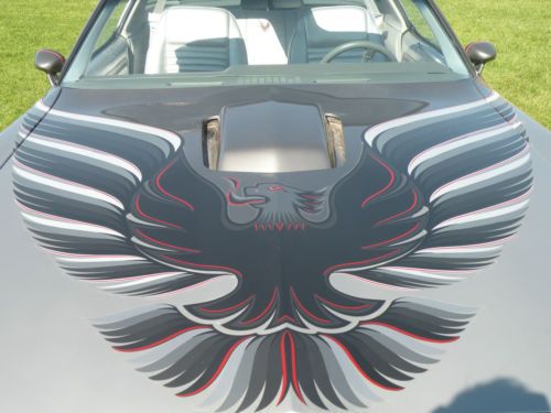 1979 Firebird Pontiac Trans Am - 10th Anniversary Edition, image 15