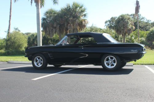 Tempest convertible, super duty look before there were gtos.