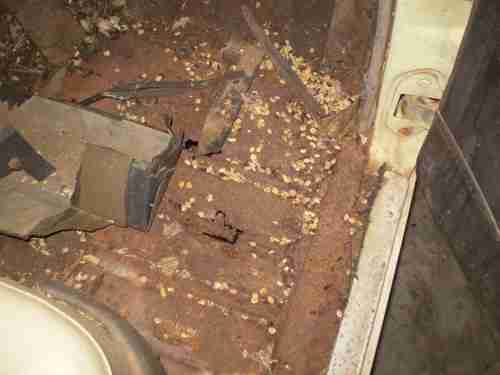 1957 Chevrolet 4 door wagon, image 4