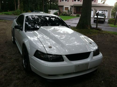 2001 mustang gt/5-speed (head turner)