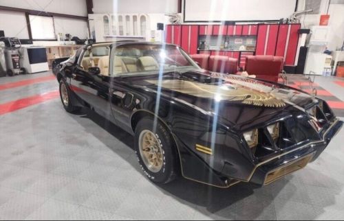 1981 pontiac firebird smokey n bandit !!!no reserve auction!!!