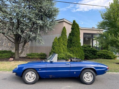 1969 Alfa Romeo Duetto, US $17,500.00, image 6