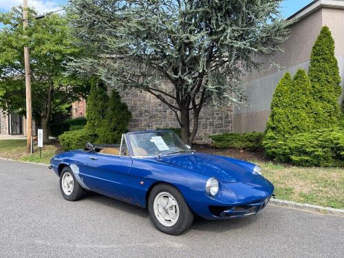 1969 Alfa Romeo Duetto, US $17,500.00, image 8