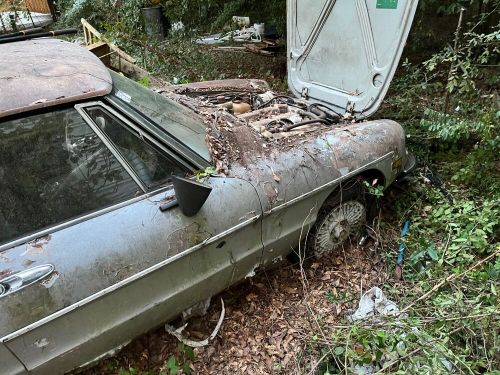 1972 alfa romeo giulia