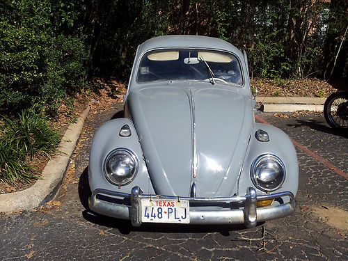 1964 vw beetle