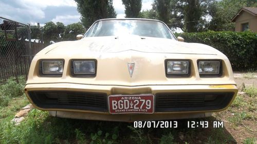 1979 pontiac trans am