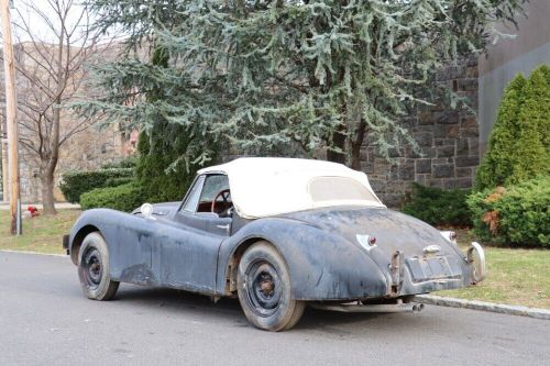 1954 jaguar xk