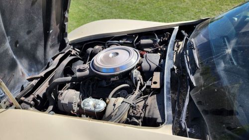 1981 chevrolet corvette