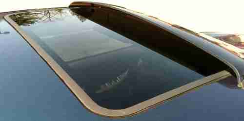 1999 Nissan Altima SE Sedan 4-Door 2.4L, US $3,499.00, image 11