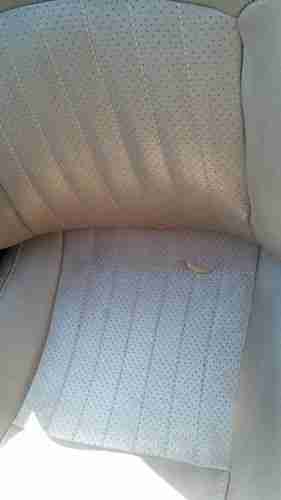 1997 Pontiac Firebird Base Convertible 2-Door 3.8L, image 9