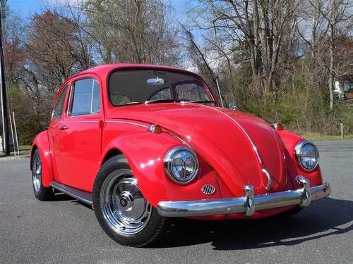 1967 vw volkswagen beetle bug