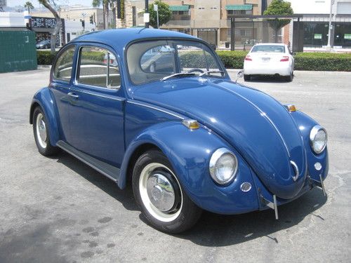 1967 volkswagen beetle - fully restored, beautiful bug!
