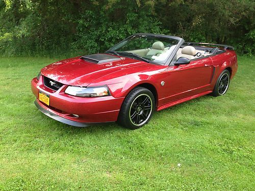 2004 mustang gt convertible - 40th anniversary