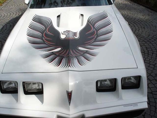 1979 Pontiac Trans Am 4 Speed, US $18,000.00, image 3