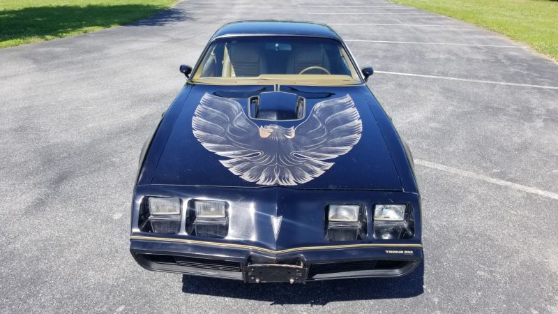 1979 pontiac firebird trans am