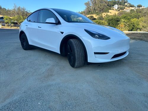 2024 tesla model y long range