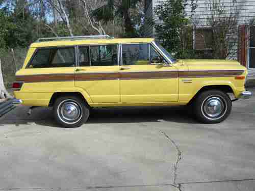 1976 Jeep Wagoneer, image 7
