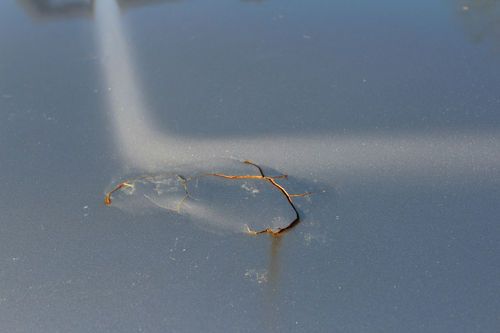 1966 ford bronco, image 4