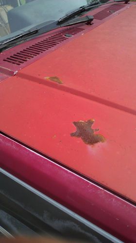 1988 Dodge Dakota v6 Pickup 2-Door 3.9L, image 10