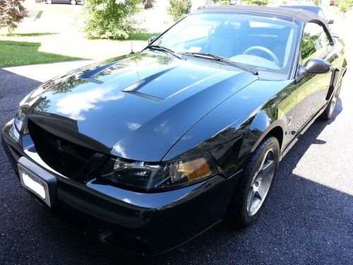 2003 black ford mustang cobra convertible