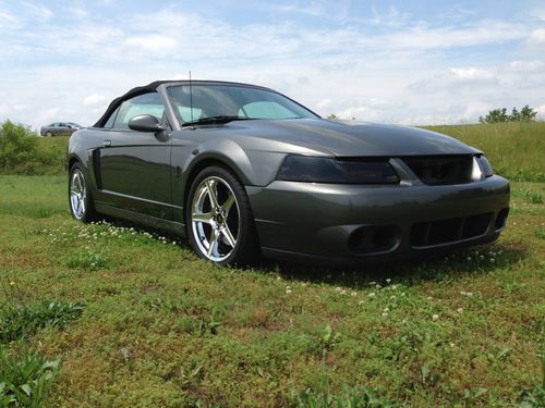 2003 mustang cobra