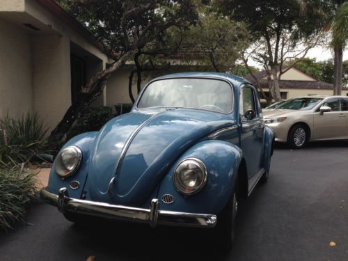 Classic 1966 volkswagen beetle. restored.