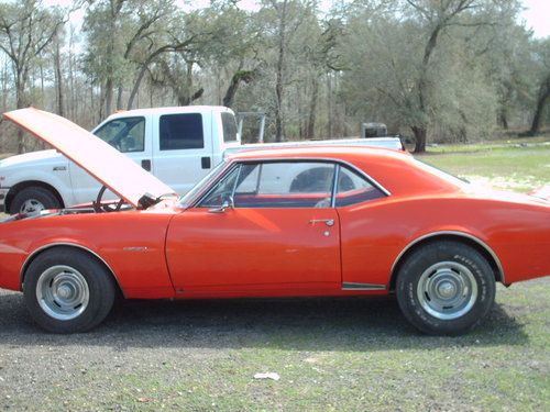 1967 camaro
