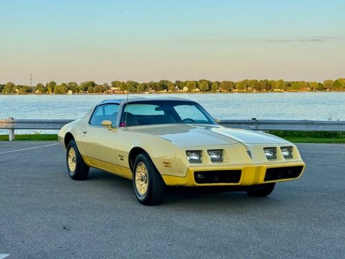 1980 pontiac firebird yellow bird edition very original - no reserve!!