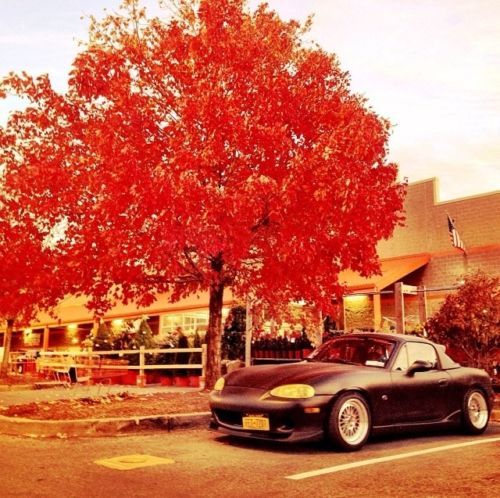 1999 mazda miata 10th anniversary convertible 2-door 1.8l