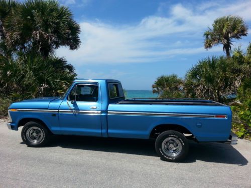 1976 ford f-100 custom standard cab pickup 2-door 5.0l