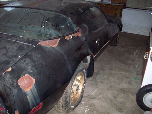 1976 pontiac trans am 50th anniversary edition