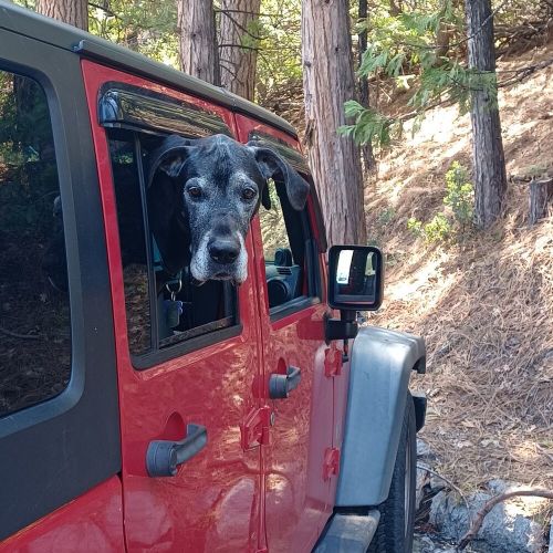 2008 jeep wrangler x