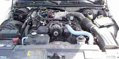 White 2008 Ford Crown Victoria - One Owner, image 5