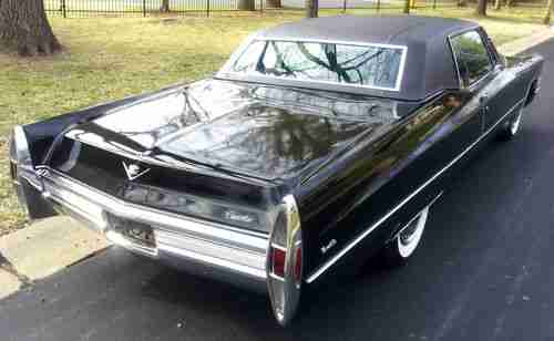 Black Beauty, image 2