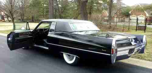 Black Beauty, image 3