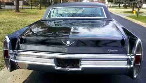 Black Beauty, image 5