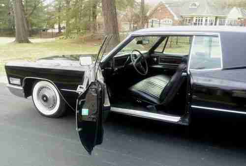 Black Beauty, image 6