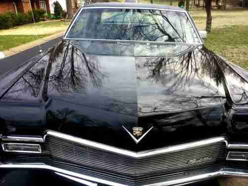 Black Beauty, image 7