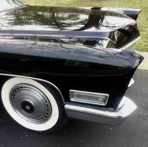 Black Beauty, image 8