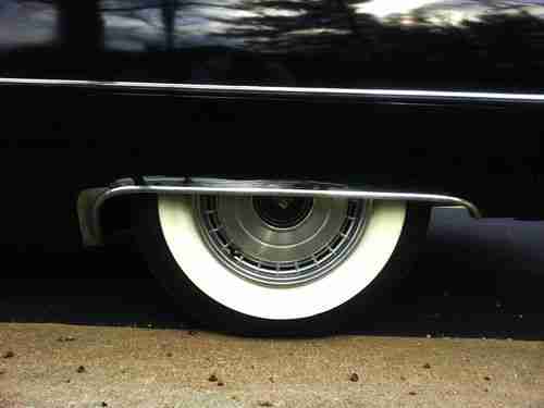 Black Beauty, image 9